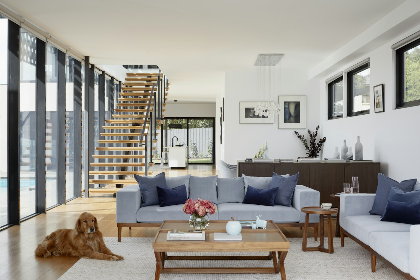 Light-filled family living room with blue cushions and a golden retriever
